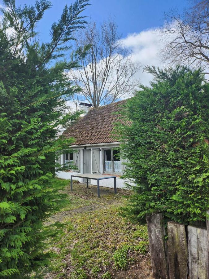 Maison Sunpark Oostduinkerk 550 Villa Koksijde Ngoại thất bức ảnh